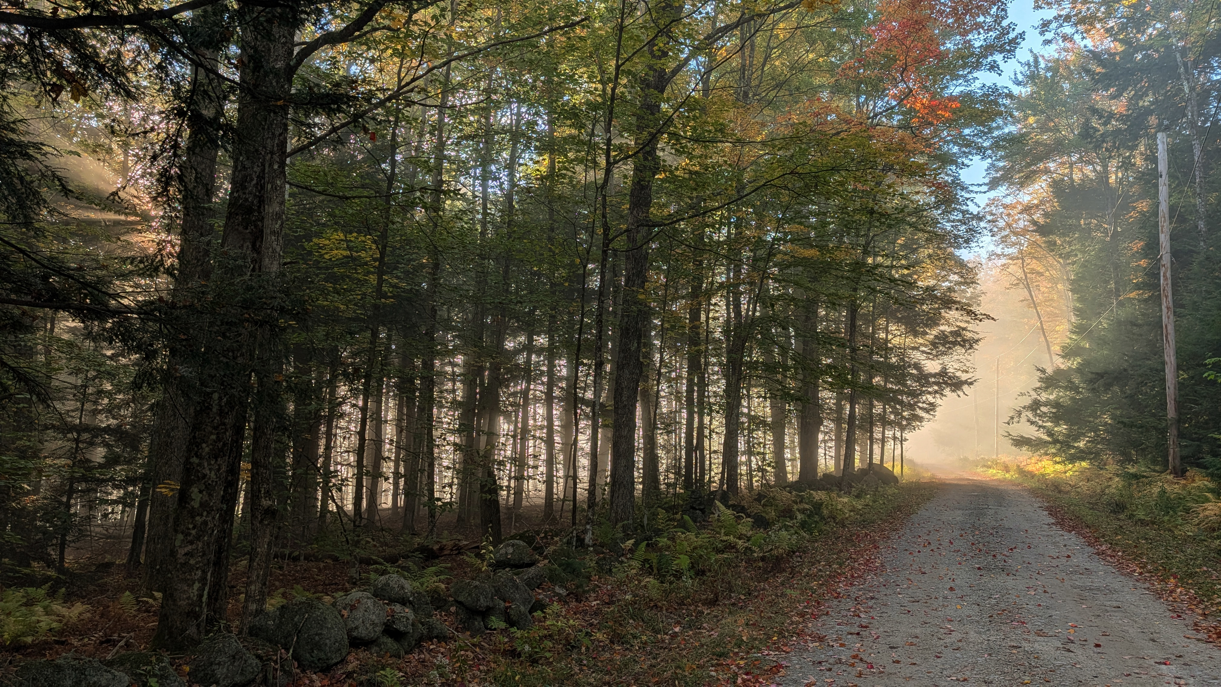 Morning fog