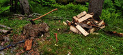 Chopping wood